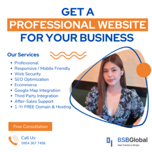 professional website